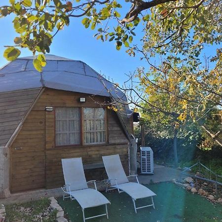 בקתת עץ בחורש במנות - דום גיאודזי - Wooden Cabin In Manot Kültér fotó