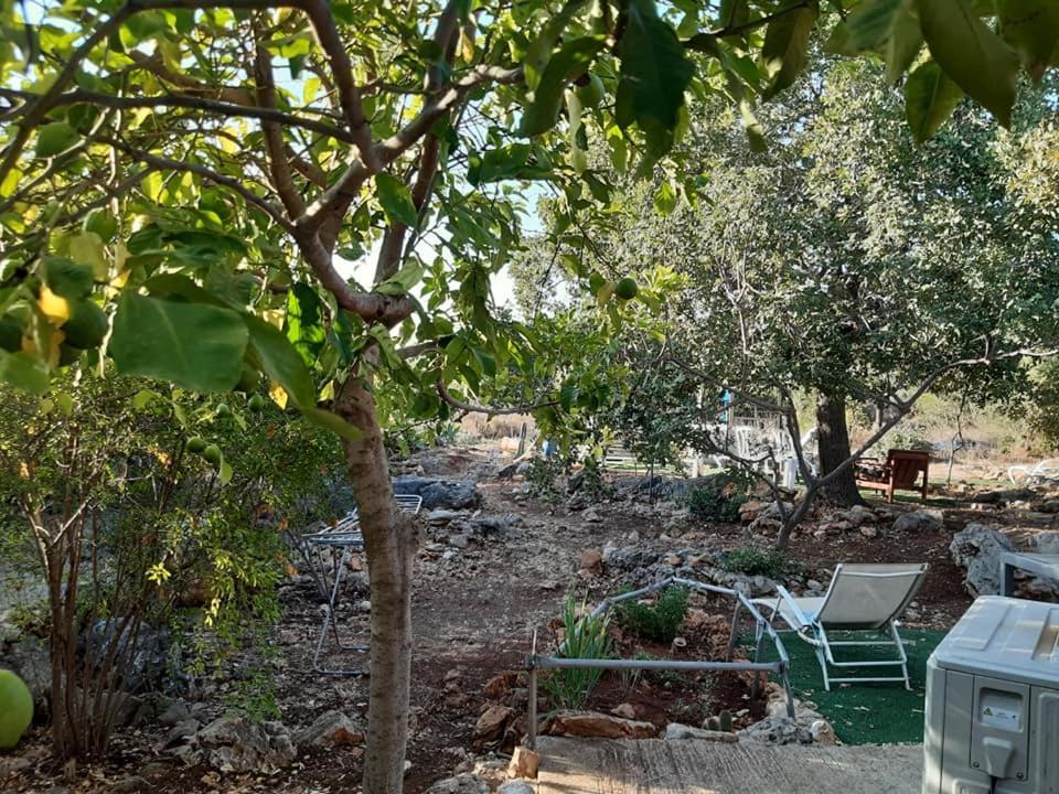 בקתת עץ בחורש במנות - דום גיאודזי - Wooden Cabin In Manot Kültér fotó