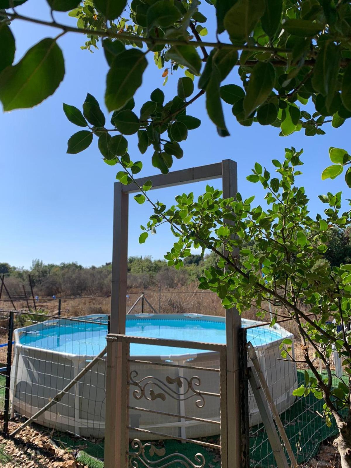 בקתת עץ בחורש במנות - דום גיאודזי - Wooden Cabin In Manot Kültér fotó