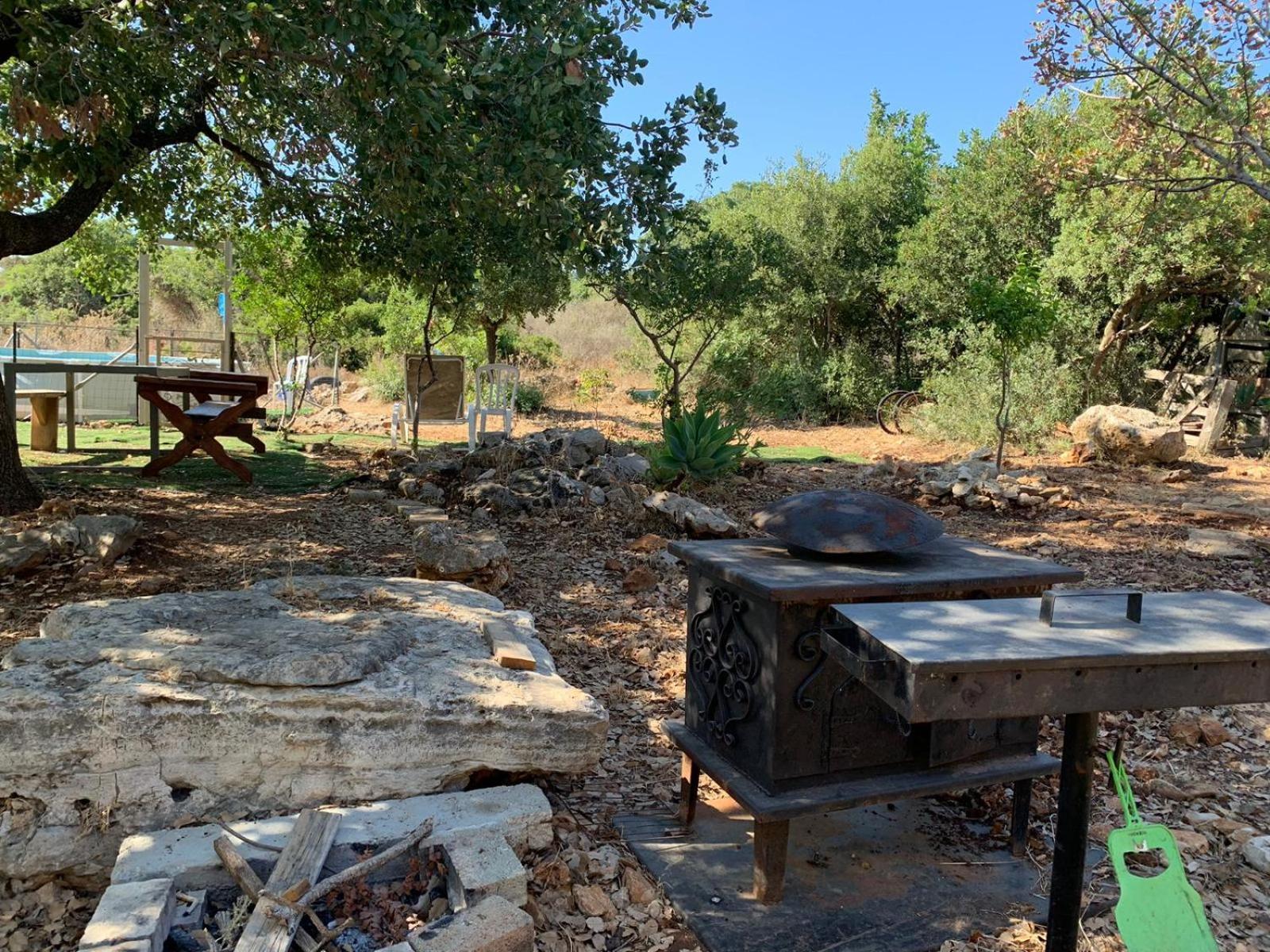 בקתת עץ בחורש במנות - דום גיאודזי - Wooden Cabin In Manot Kültér fotó