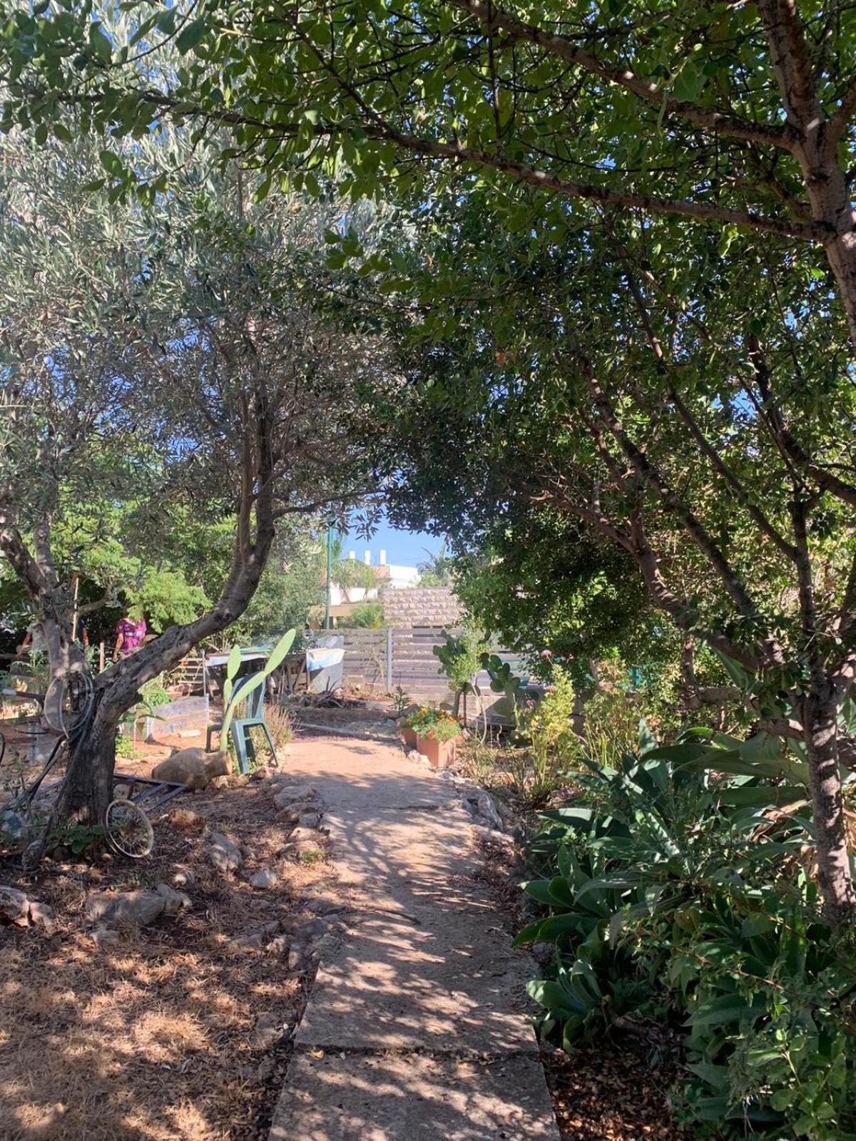 בקתת עץ בחורש במנות - דום גיאודזי - Wooden Cabin In Manot Kültér fotó