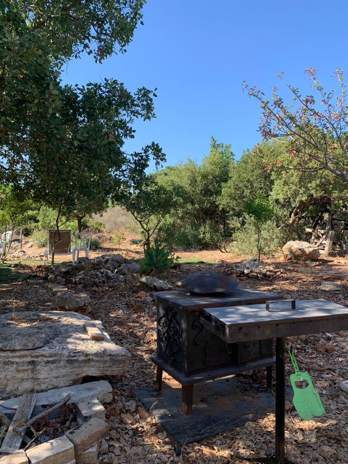 בקתת עץ בחורש במנות - דום גיאודזי - Wooden Cabin In Manot Kültér fotó